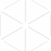 logo-everrose-white